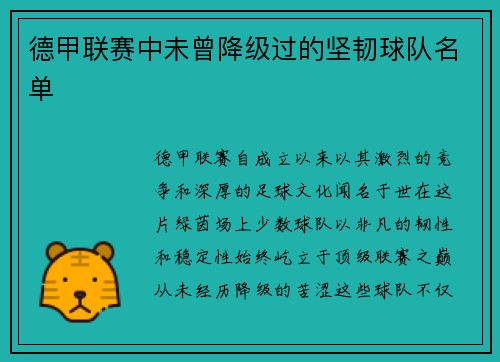 德甲联赛中未曾降级过的坚韧球队名单